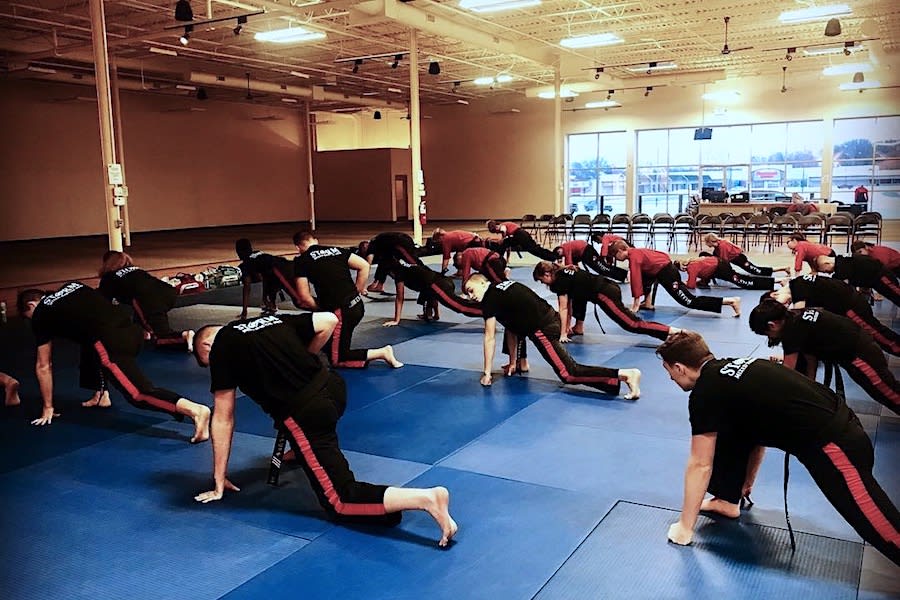 Kids Martial Arts near Springfield